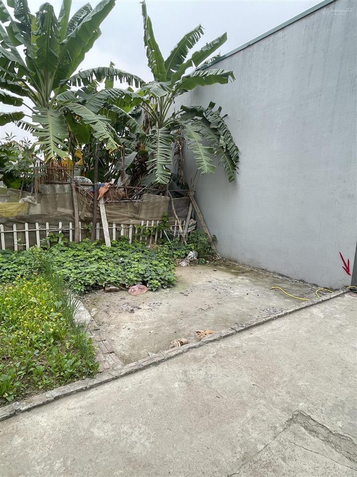 Cần bán 44,5m2 cách trường mầm non bìa làng yên nhân chỉ 150m2 giá 3.150tr tiền phong mê linh hn