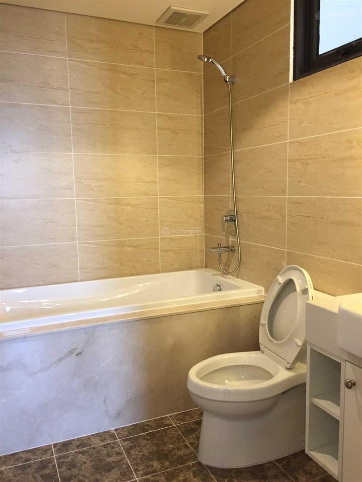 Cho thuê căn hộ cao cấp d'capitale trần duy hưng, 3 phòng ngủ, 112m², đầy đủ đồ, có slot xe ô tô