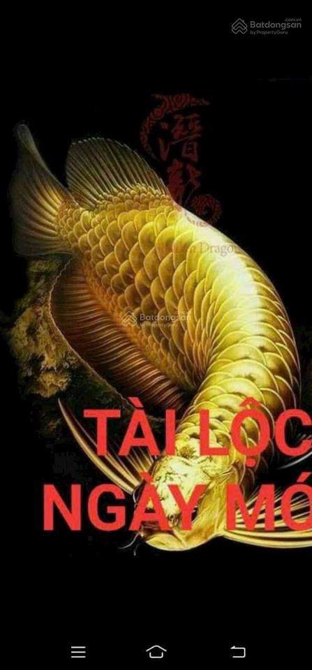 Bán nam hoà xuân giá tốt. dự án khu nam hoà xuân. đường phan huynh điểu