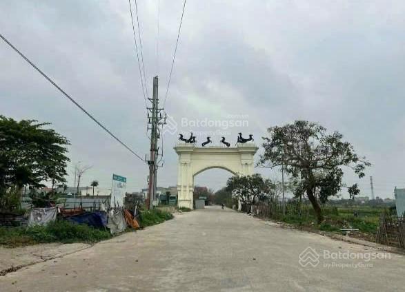 Đất đẹp bảo long new city từ sơn, bắc ninh đón sóng vin liên hà khởi công, giá chỉ nhỉnh 3 tỷ