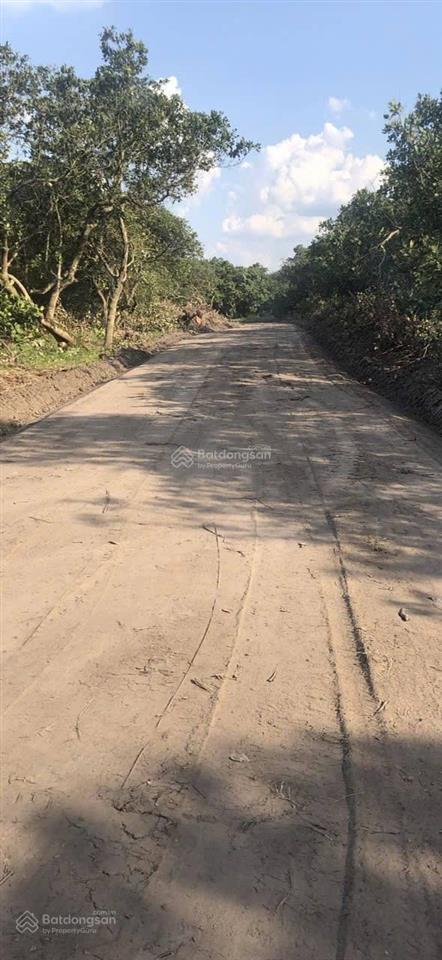 Cần bán đất đẹp xã long bình, phú riềng, bình phước, giá chỉ 170 triệu