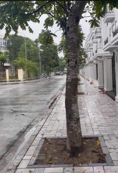Cho thuê nguyên căn khu dương nội b  solasta 170m², đường 12m, vỉa hè rộng, phù hợp làm kho hàng