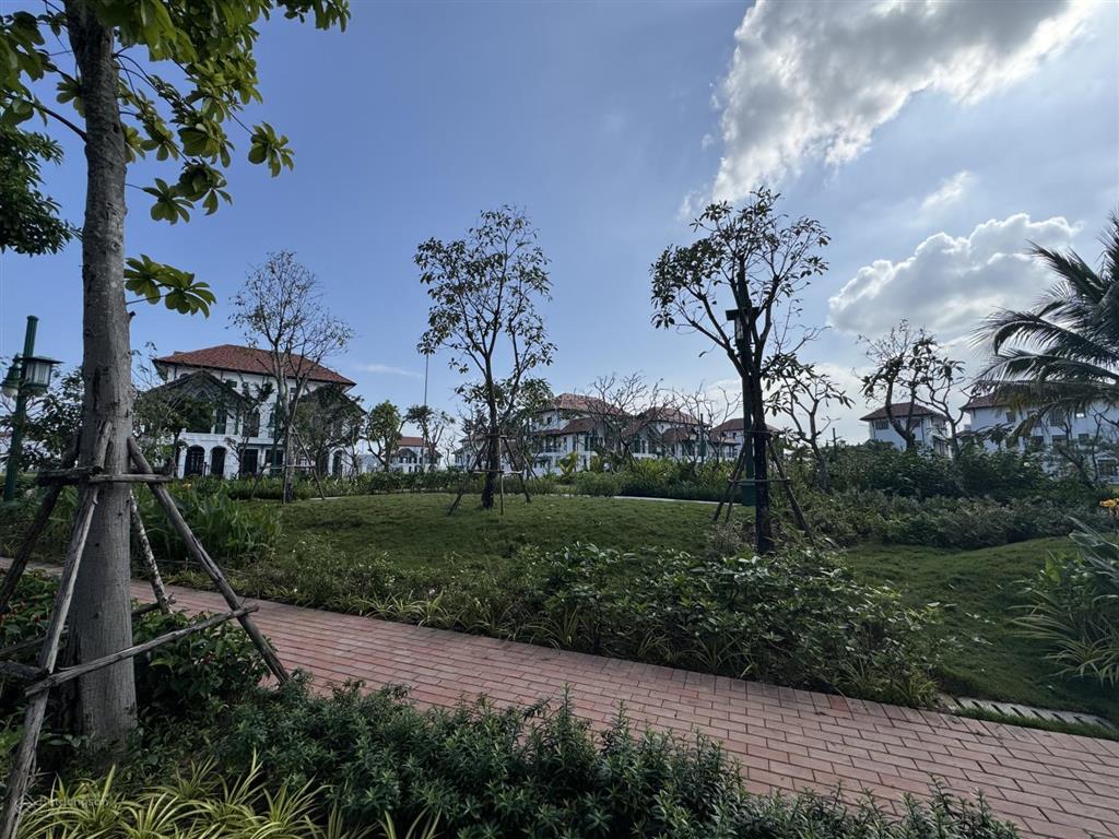 Đất biệt thự mt giáng hương 7 view công viên
