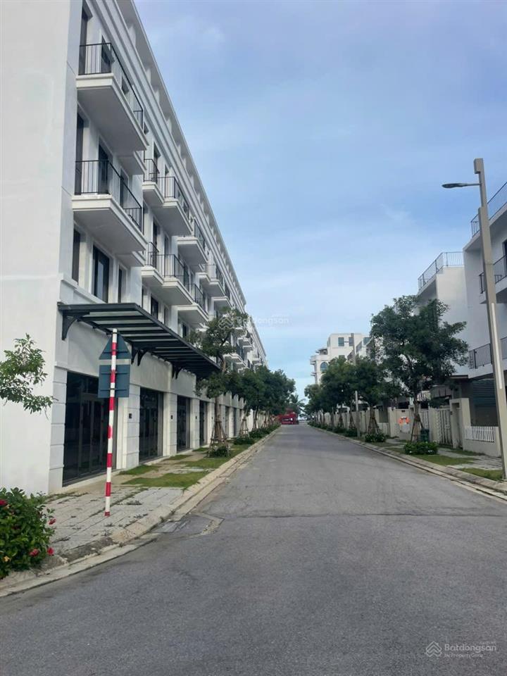 Xả lỗ sâu đầu ve vlasta sầm sơn