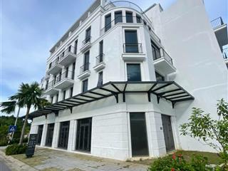 Xả lỗ sâu đầu ve vlasta sầm sơn