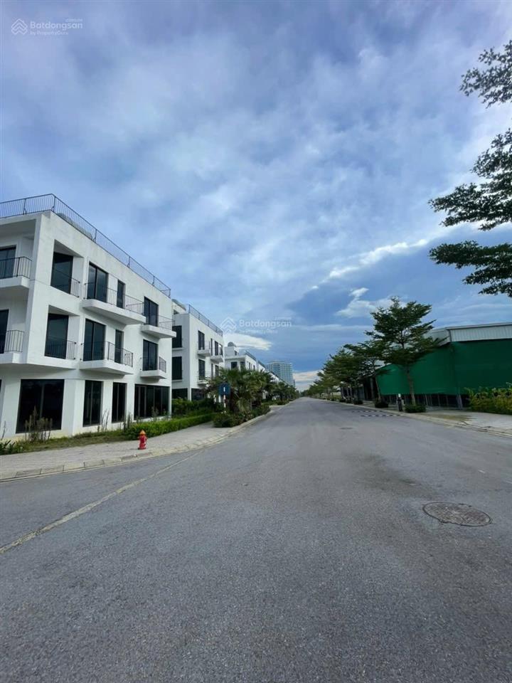 Xả lỗ sâu đầu ve vlasta sầm sơn