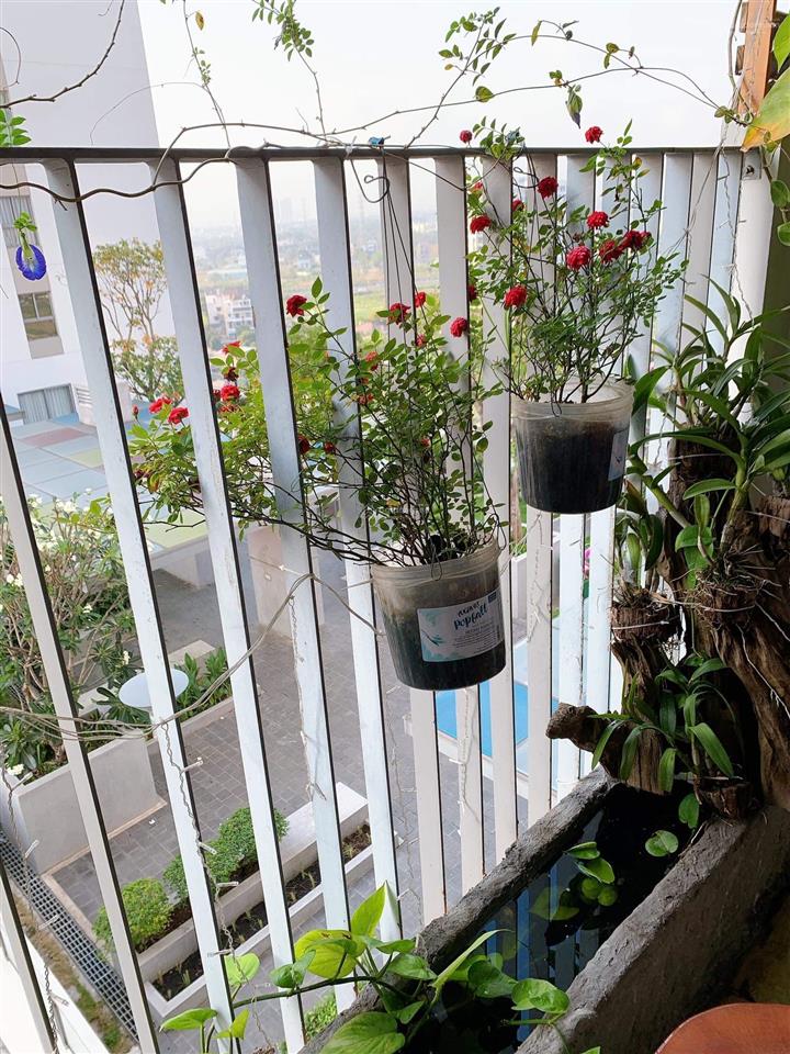 Chuyên cho thuê căn hộ hausneo, 2pn+68m2 giá 11tr full nội thất