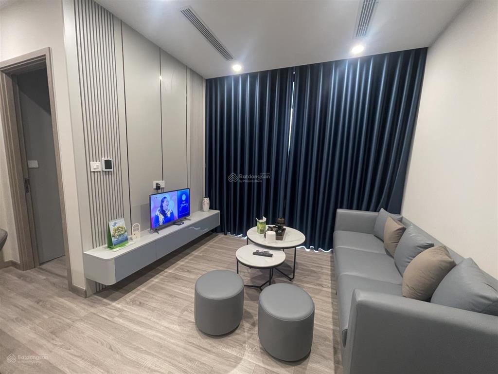 Cho thuê căn hộ 2pn cao cấp tại sky forest 1  ecopark, hà nội