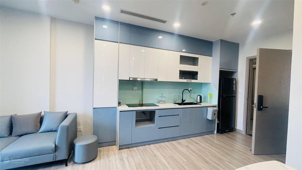 Cho thuê căn hộ 2pn cao cấp tại sky forest 1  ecopark, hà nội
