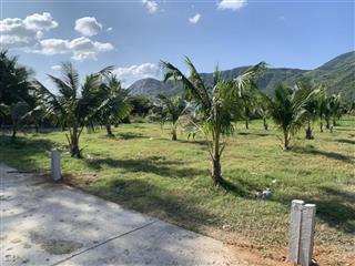 Bán đất tại ba ngòi, 460 triệu, 103.9m2, pháp lý đầy đủ, mặt tiền 5m