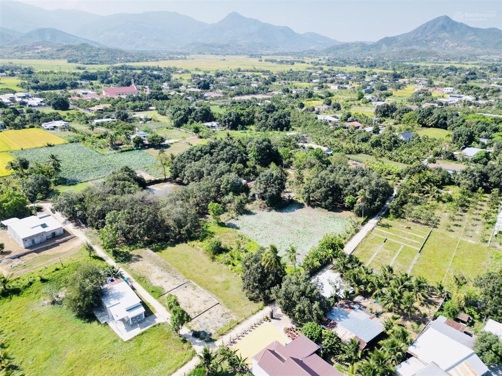 Sở hữu 597,8m2 tại hoà an, ba ngòi chỉ với 1,1 tỷ