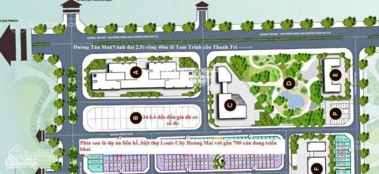 Chính chủ bán lô đất đấu giá mặt tân mai  đền lừ 3 nhỉnh 30 tỷ