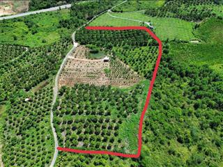 Đất diên thọ cách ql 27c 200m diện tích 21000m2 bám đường 200m chỉ 360k/m2 7tỷ560tr