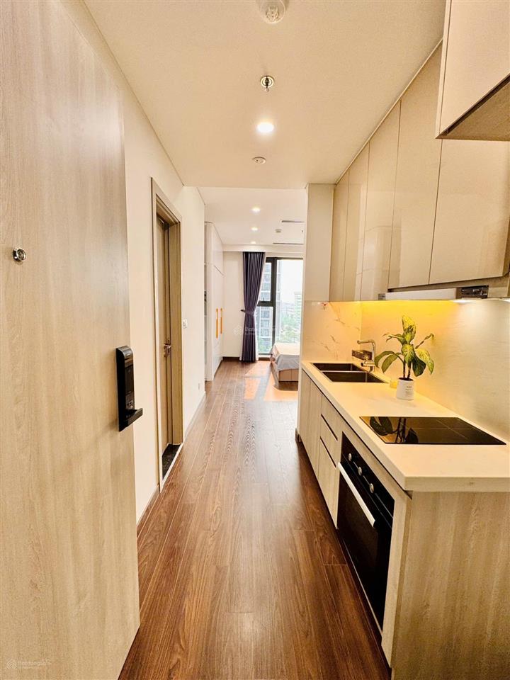 Bán trong ngày studio đẹp và giá hời masteri vinhomes smart city tây mỗ, 2,4 tỷ