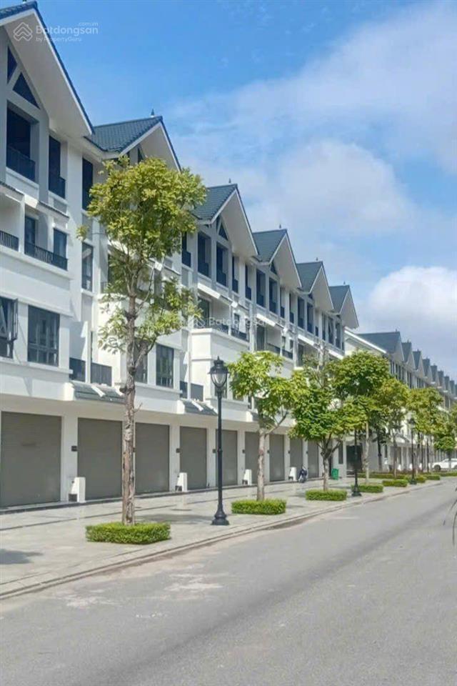 Chính chủ cho thuê căn liền kề phân khu đông dương full nội thất sang trọng giá 30tr/tháng