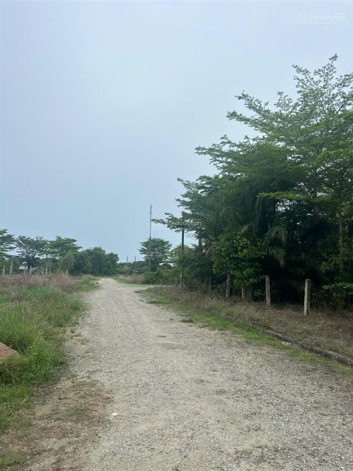 Bán đất khu dân cư sght, an ninh, gần biển, đất chính chủ