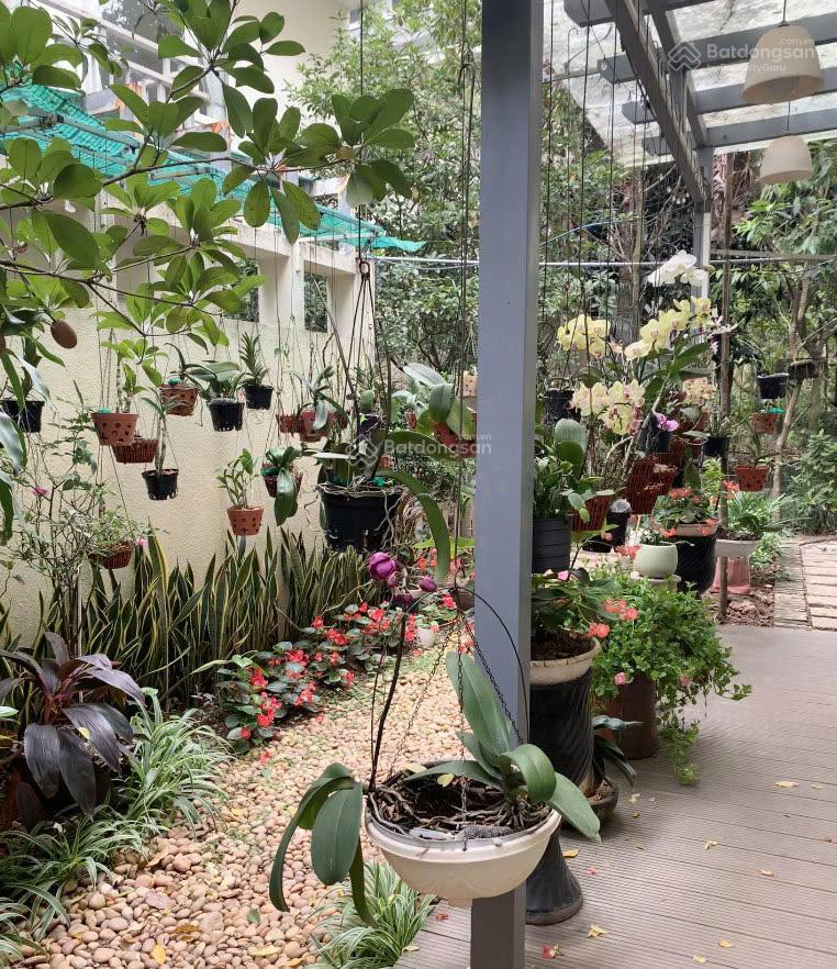 Biệt thự vườn mai ecopark, văn giang (phụng công) hưng yên, 29 tỷ, 190 m²