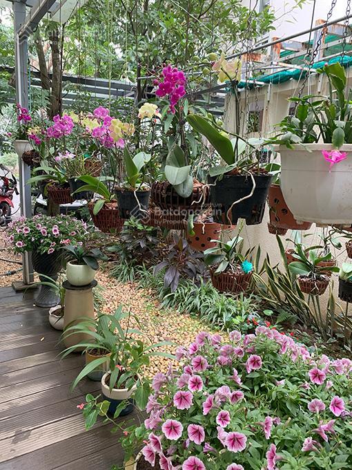 Biệt thự vườn mai ecopark, văn giang (phụng công) hưng yên, 29 tỷ, 190 m²