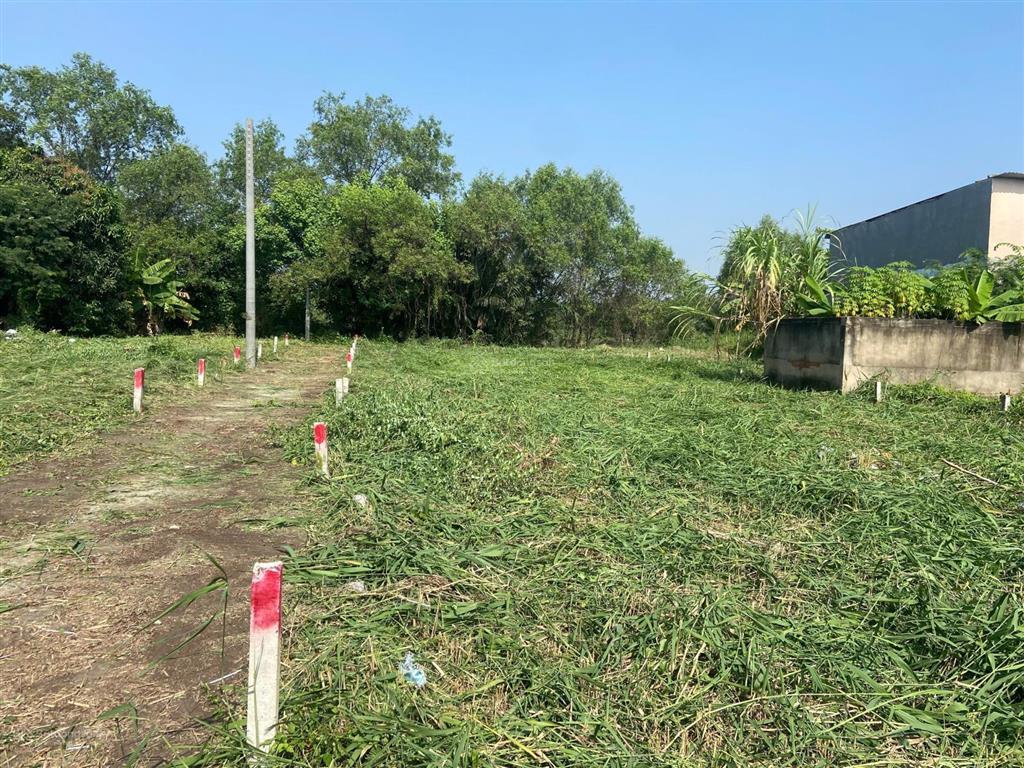 Chính chủ cần bán gấp đất sổ riêng long hậu giáp nhà bèq7