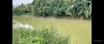 Đất trồng cây lâu năm đang sẵn vườn điều. view đẹp sang nam cát tiên