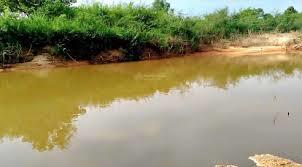 Đất trồng cây lâu năm đang sẵn vườn điều. view đẹp sang nam cát tiên