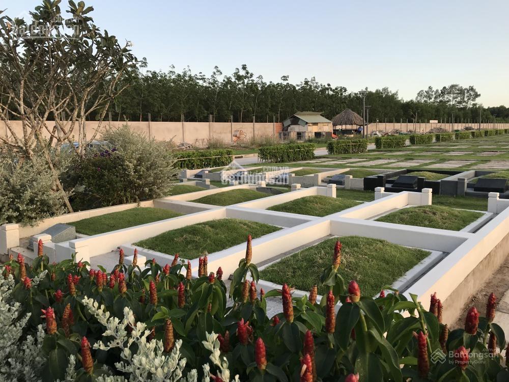 Chính chủ bán lô gia tộc 48m2 trung tâm sala garden