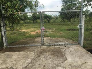 Bán rẻ 3 sào đất cln vùng ven tphcm gần hồ tràm