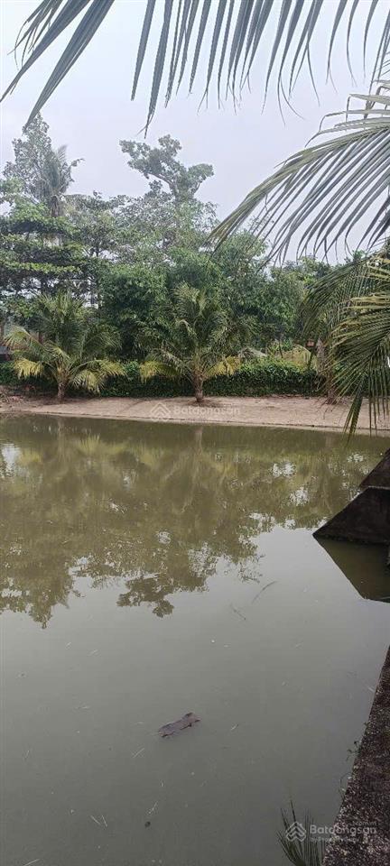Chính chủ gửi bán đất phước thuận gần hồ tràm thích hợp đầu tư sinh lời làm khu nghỉ dưỡng
