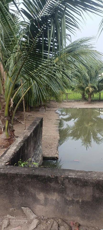 Chính chủ gửi bán đất phước thuận gần hồ tràm thích hợp đầu tư sinh lời làm khu nghỉ dưỡng