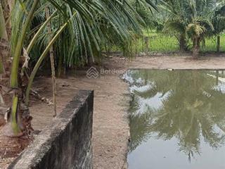 Chính chủ gửi bán đất phước thuận gần hồ tràm thích hợp đầu tư sinh lời làm khu nghỉ dưỡng giá