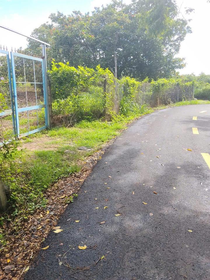 Chính chủ gởi bán lô đất thổ cư xã hồ tràm, hồ chí minh