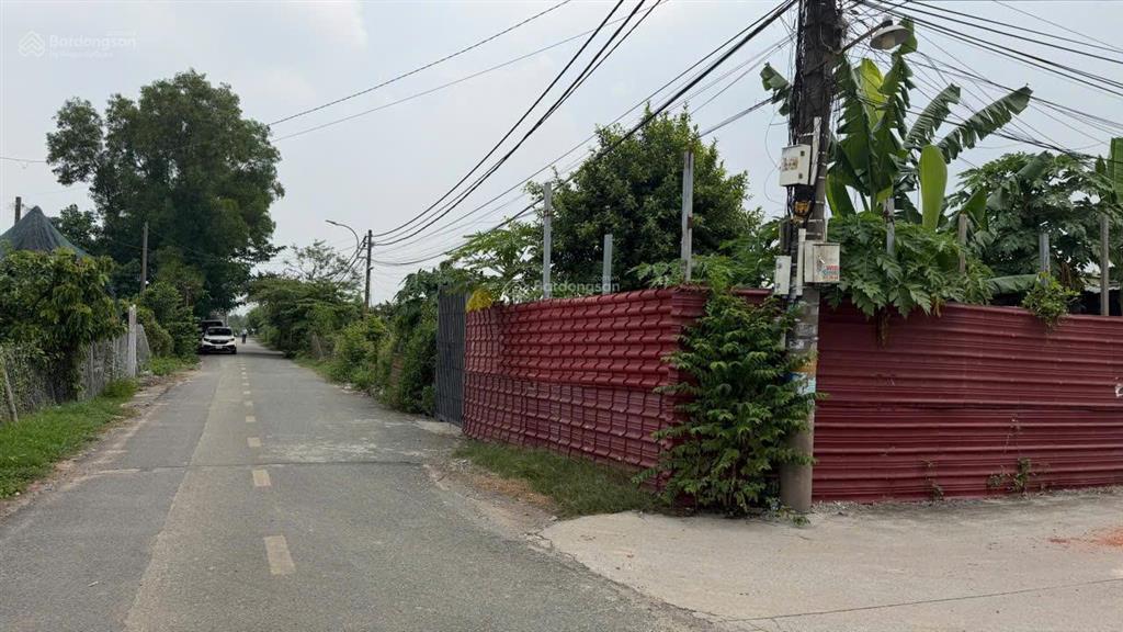 Bán đất 2mt trung đông 11, đông thạnh, hóc môn, 7500m2, 85 tỷ