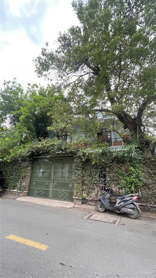 Bán nhà mt 40 đường số 47, thảo điền, 15x33, 502m², 1 hầm, 3 tầng, 105 tỷ