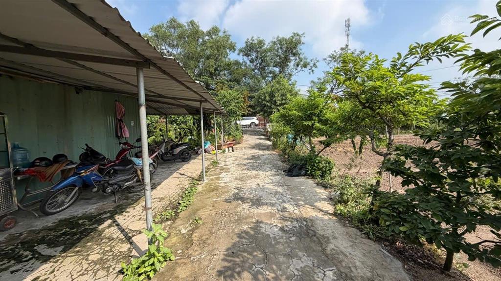 Bán đất 2mt trung đông 11, 7500m2, gần chợ thới tứ, đặng thúc vịnh, 12 triệu/m2