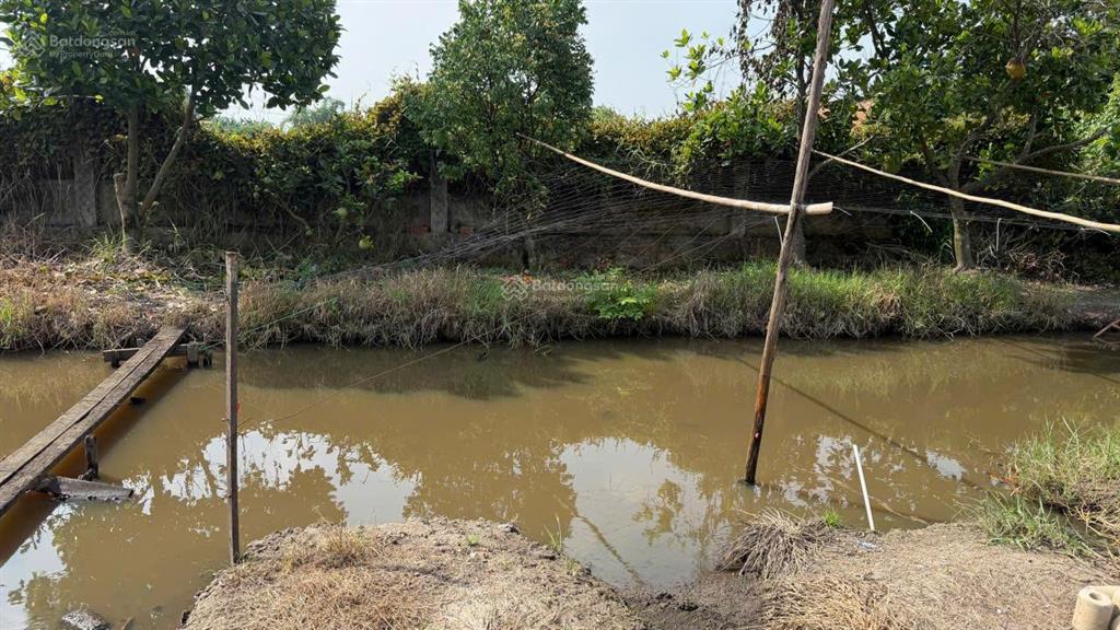 Bán đất 2mt trung đông 11, 7500m2, gần chợ thới tứ, đặng thúc vịnh, 12 triệu/m2