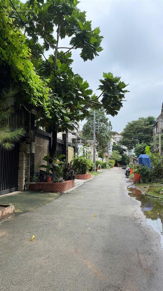 Bán nhà nguyễn văn hưởng, 10x23, 233m2, 2 lầu, 5pn, gần trường bis, 60 tỷ