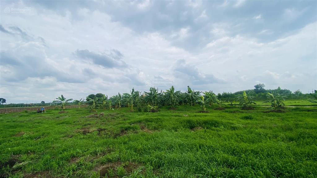 Bán gấp 2000m2 đất xã xuân đông, tỉnh đồng nai, cách đường đt 765 2km, hẻm xe tải ac  sớm