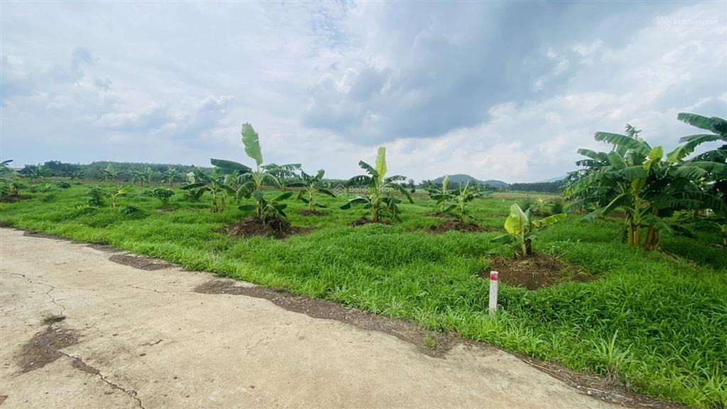 Bán gấp 2000m2 đất xã xuân đông, tỉnh đồng nai, cách đường đt 765 2km, hẻm xe tải ac  sớm