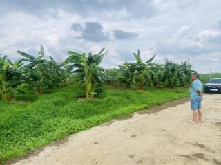 Bán gấp 2000m2 đất xã xuân đông, tỉnh đồng nai, cách đường đt 765 2km, hẻm xe tải ac  sớm