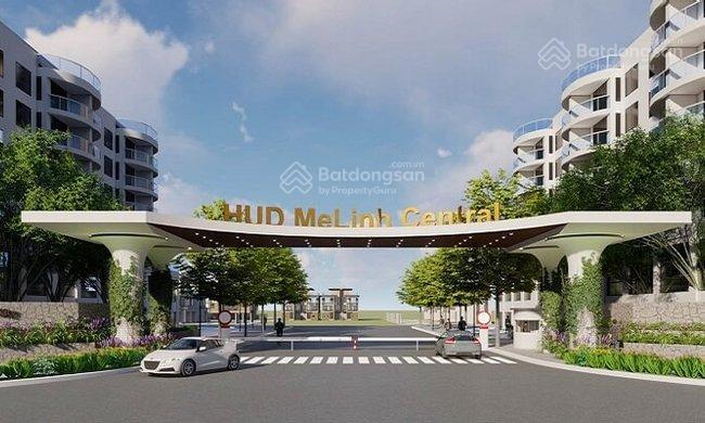 Chính chủ bán 221m2 đất đấu giá mặt đường đại thịnh rộng 48m