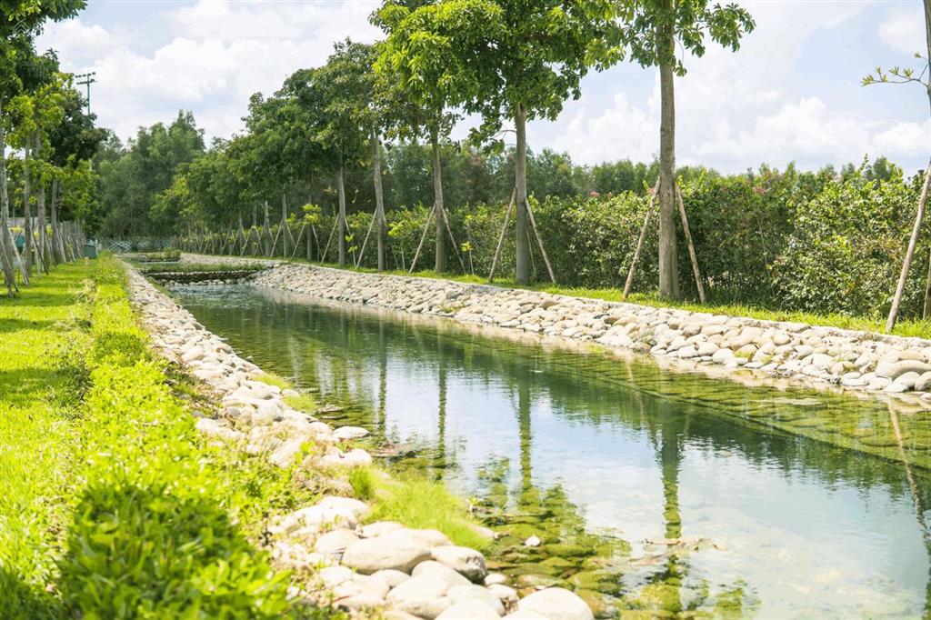Chuyển nhượng mô đôi khu m3  giá chỉ 2xxtr. ( đường 6m )