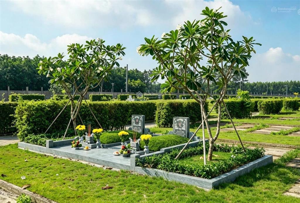Chính chủ cần bán mộ đơn giá chỉ 75tr/huyệt  sala garden