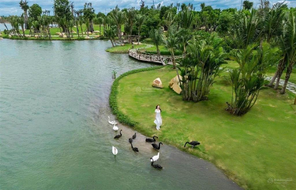 Sở hữu căn hộ forest onsen chỉ với 650 triệu, ân hạn gốc 24 tháng