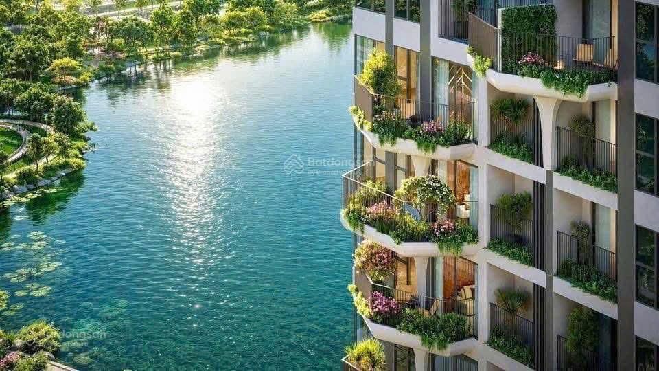 Sở hữu căn hộ forest onsen chỉ với 650 triệu, ân hạn gốc 24 tháng