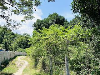 Cần bán gấp lô đất đẹp tại vĩnh lương nha trang.
diện tích 7.338m2 mặt tiền khủng hơn 120m