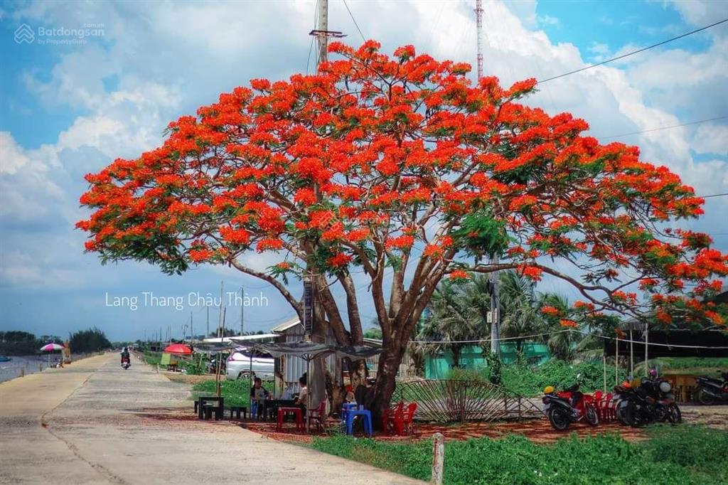 Bán 1000m2 đất mặt tiền biển tân thành gò công đông, tiền giang
