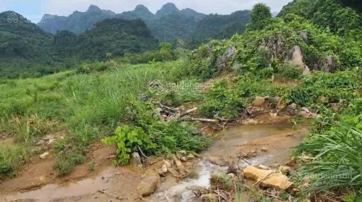 Bán đất 124000m2 (12,4ha) tại xã tú sơn, kim bôi, hòa bình, 48 tỷ vnd