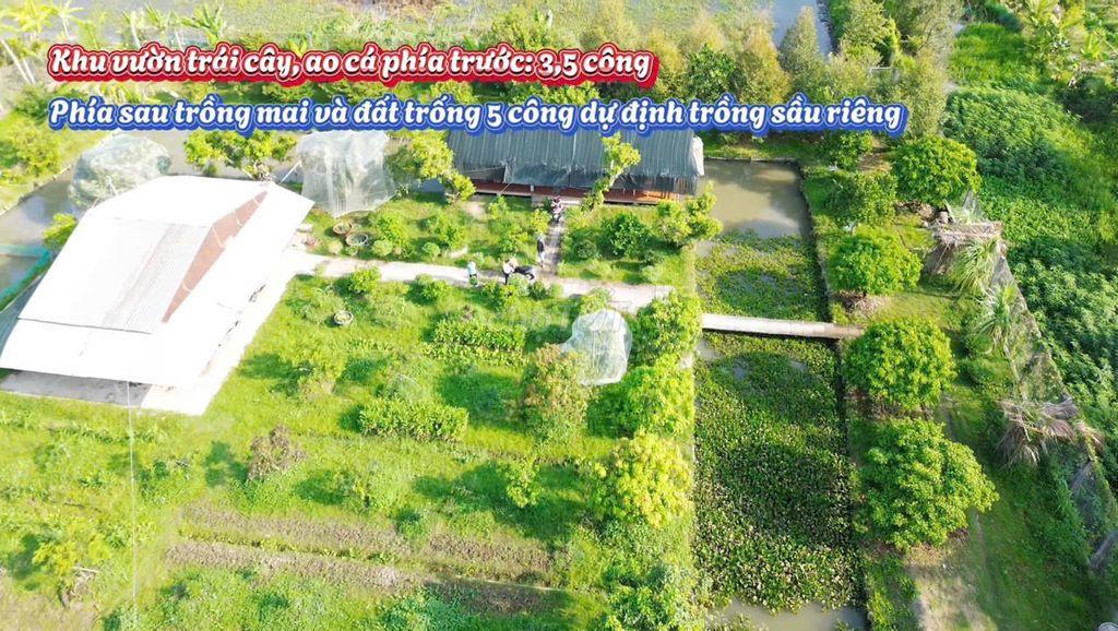 Vườn nghĩ dưỡng Phường Tân Hạnh giá cực tốt