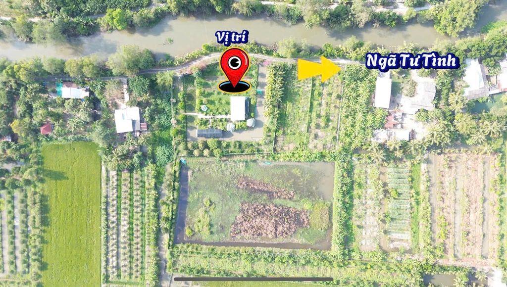 Vườn nghĩ dưỡng Phường Tân Hạnh giá cực tốt