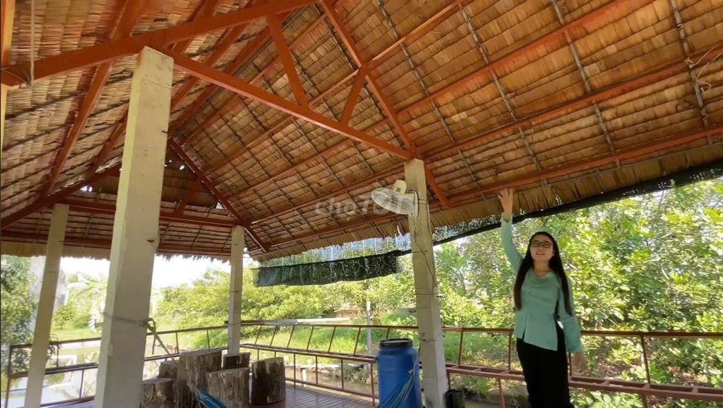 Vườn nghĩ dưỡng Phường Tân Hạnh giá cực tốt
